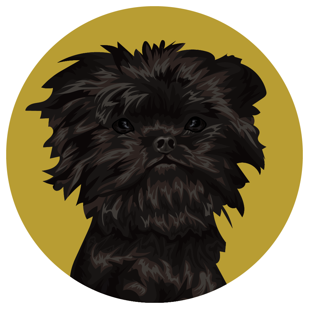Affenpinscher