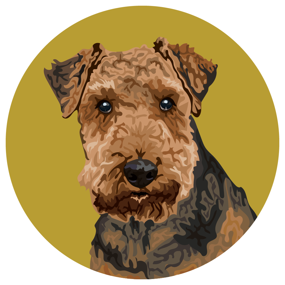 Airedale Terrier
