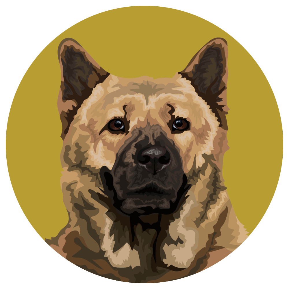 Akita Chow
