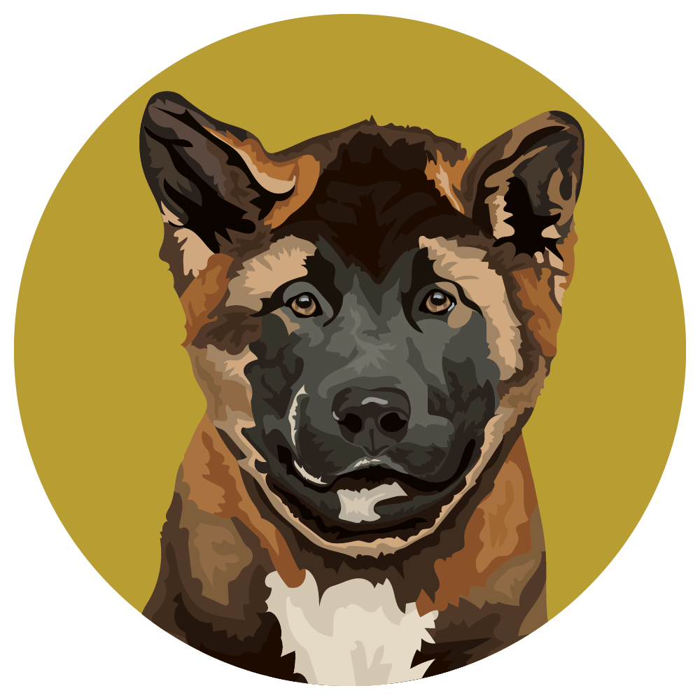 Akita