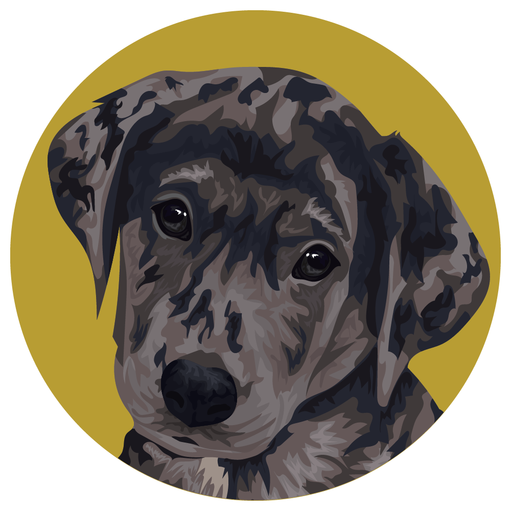 American Leopard Hound