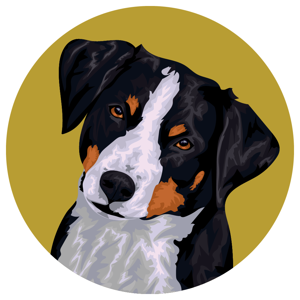 Appenzeller Sennenhunde