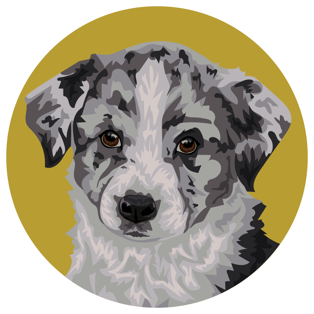 Auggie