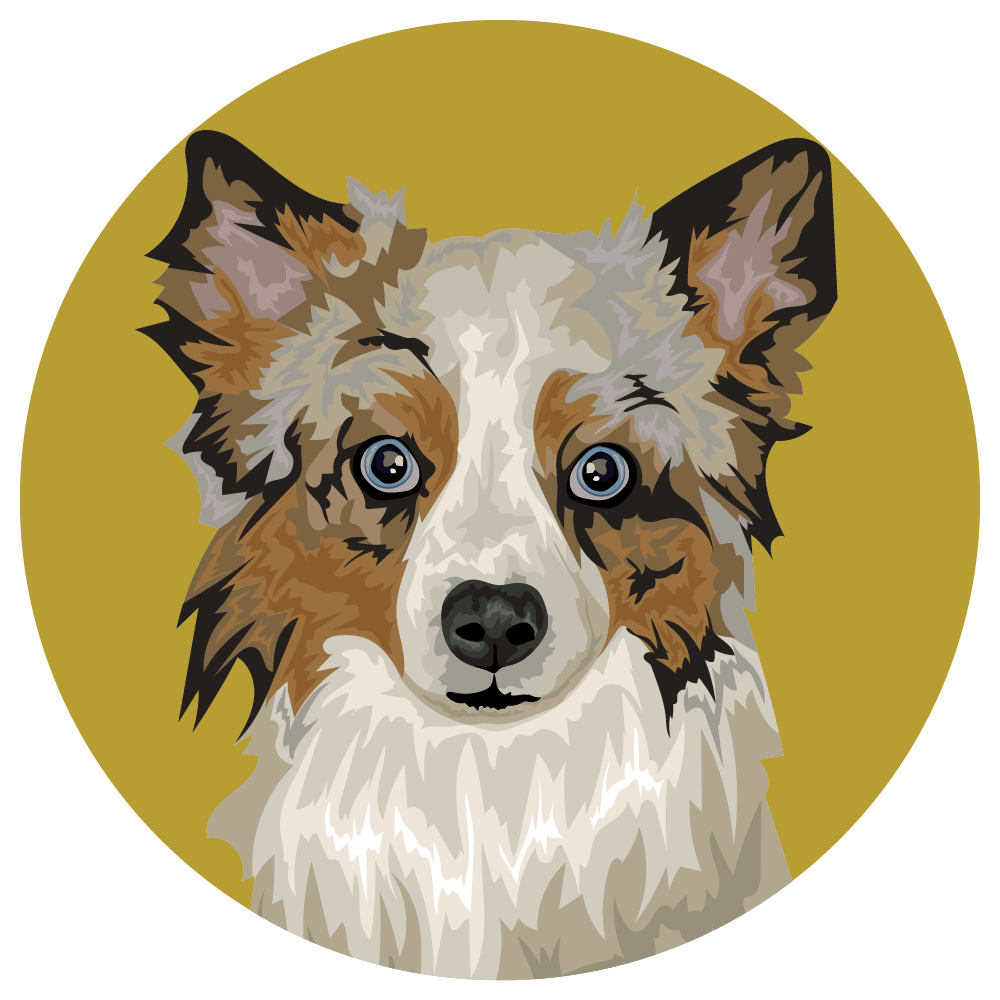 Aussiepom