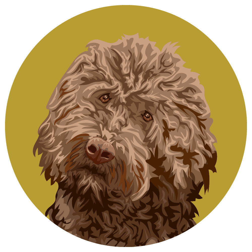 Barbet