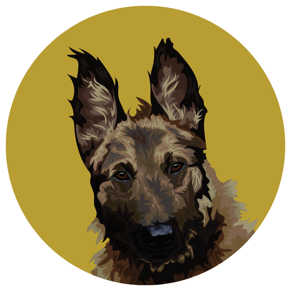 Belgian Laekenois