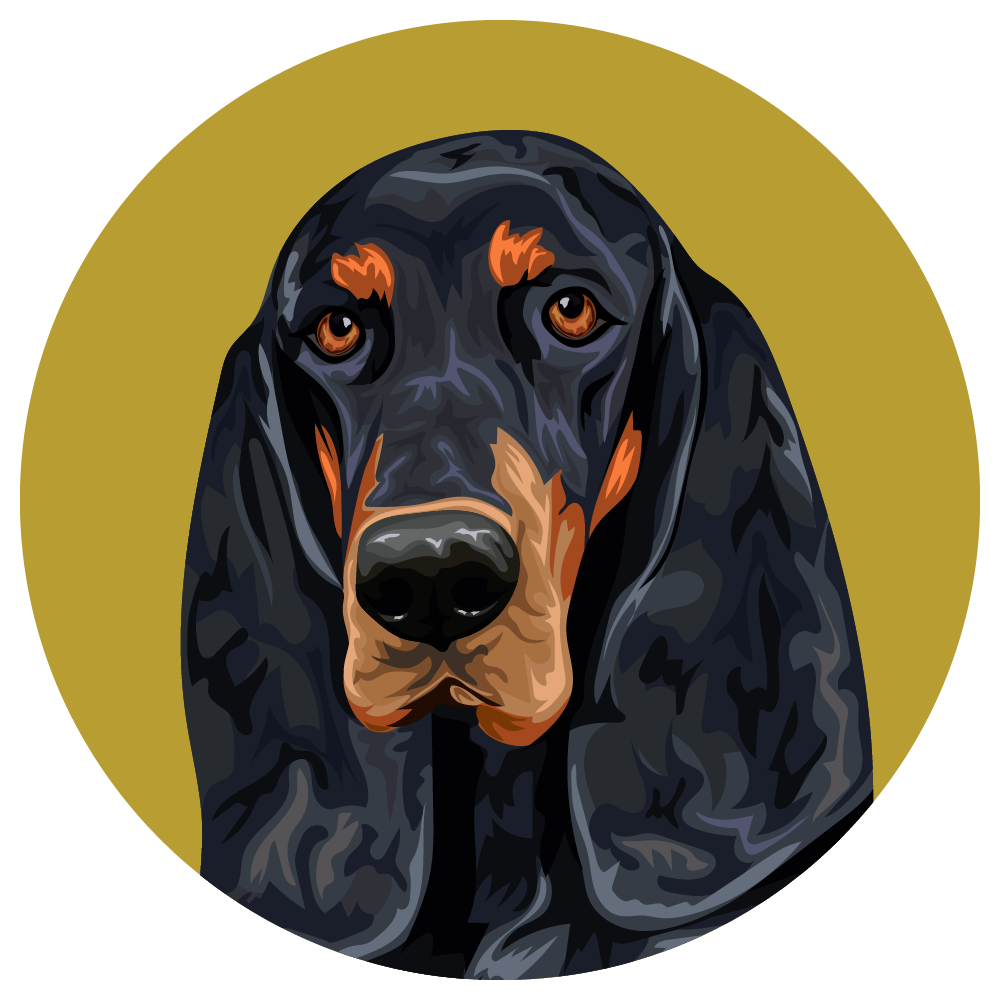 Black and Tan Coonhound