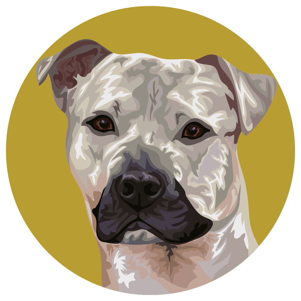 Black Mouth Cur