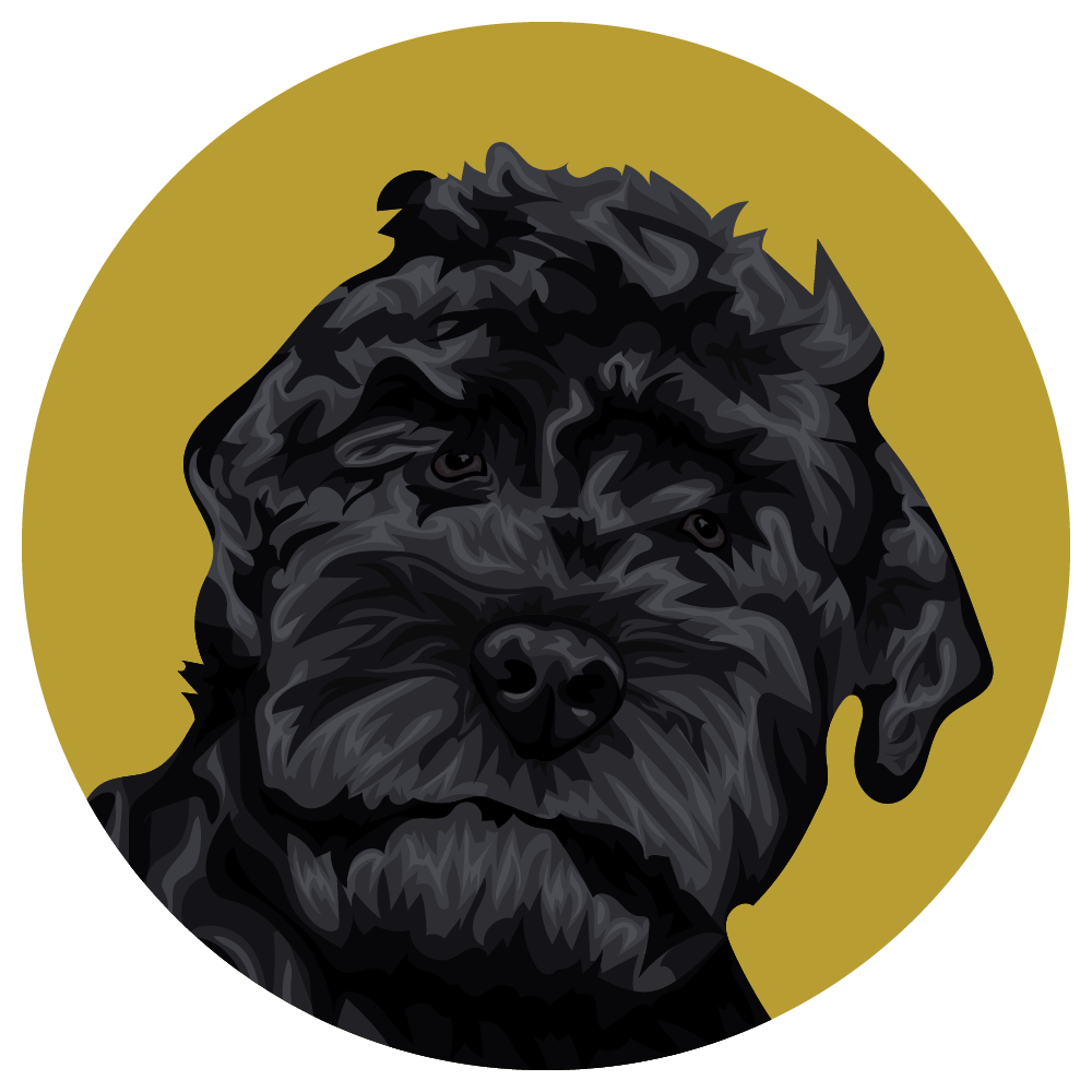 Black Russian Terrier