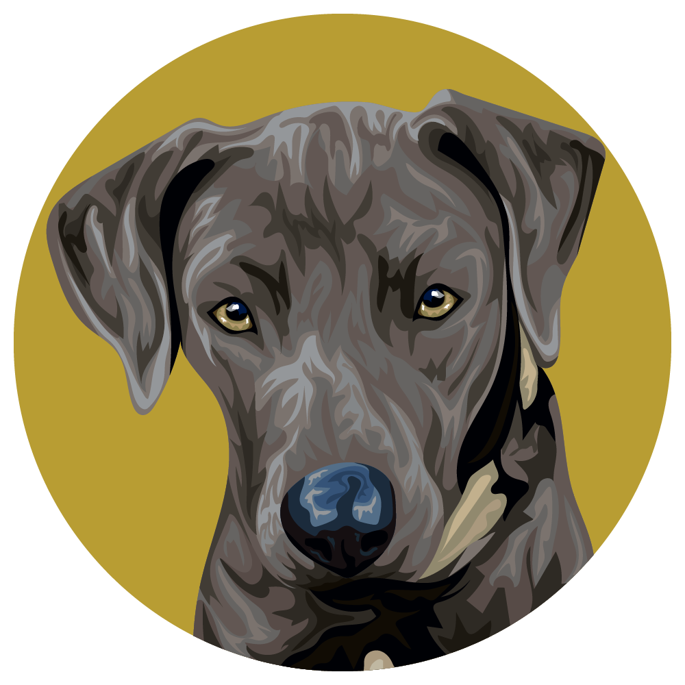 Blue Lacy