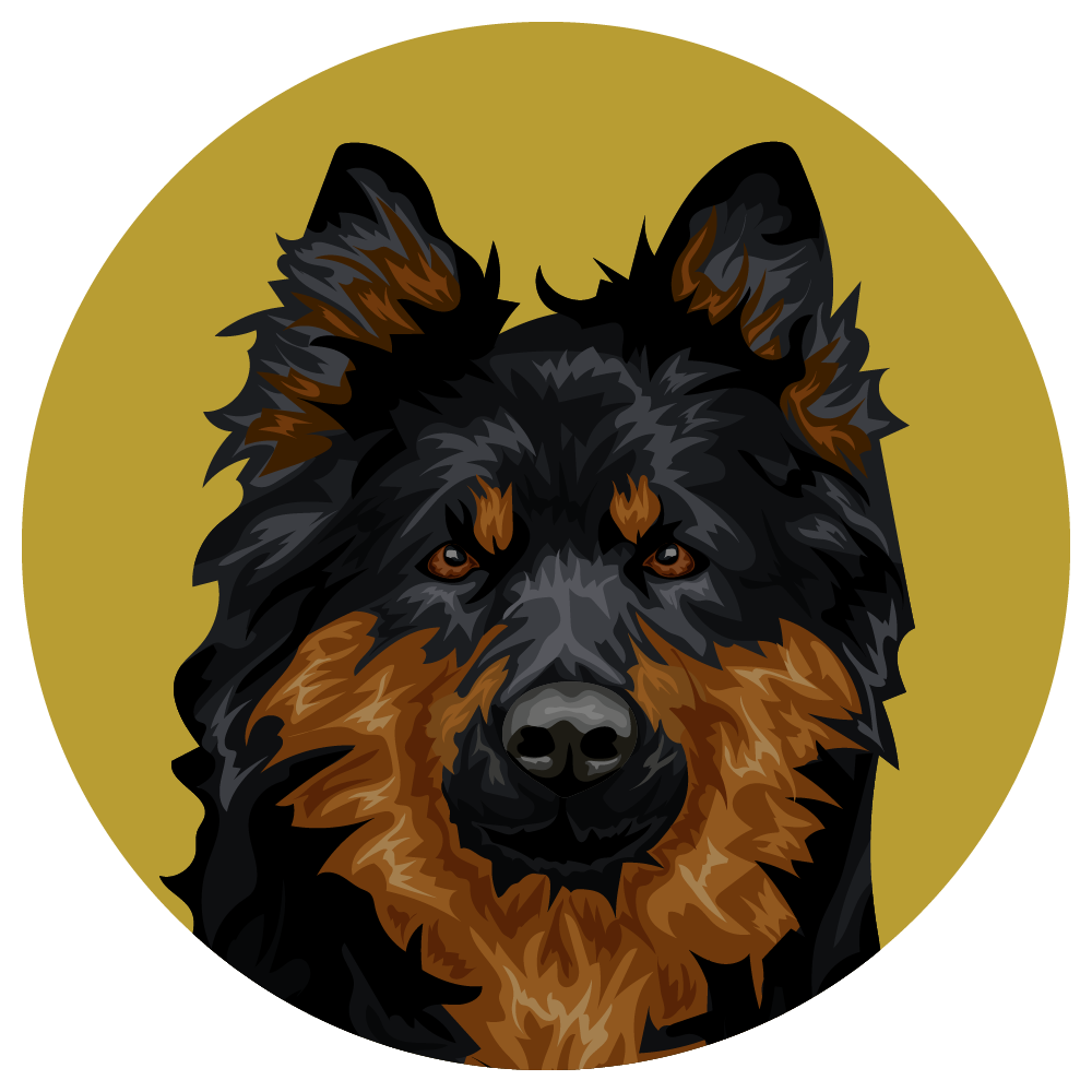 Bohemian Shepherd