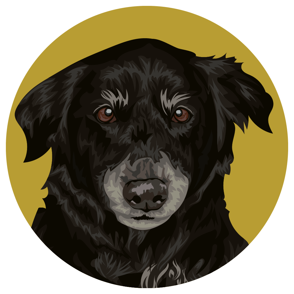 Borador