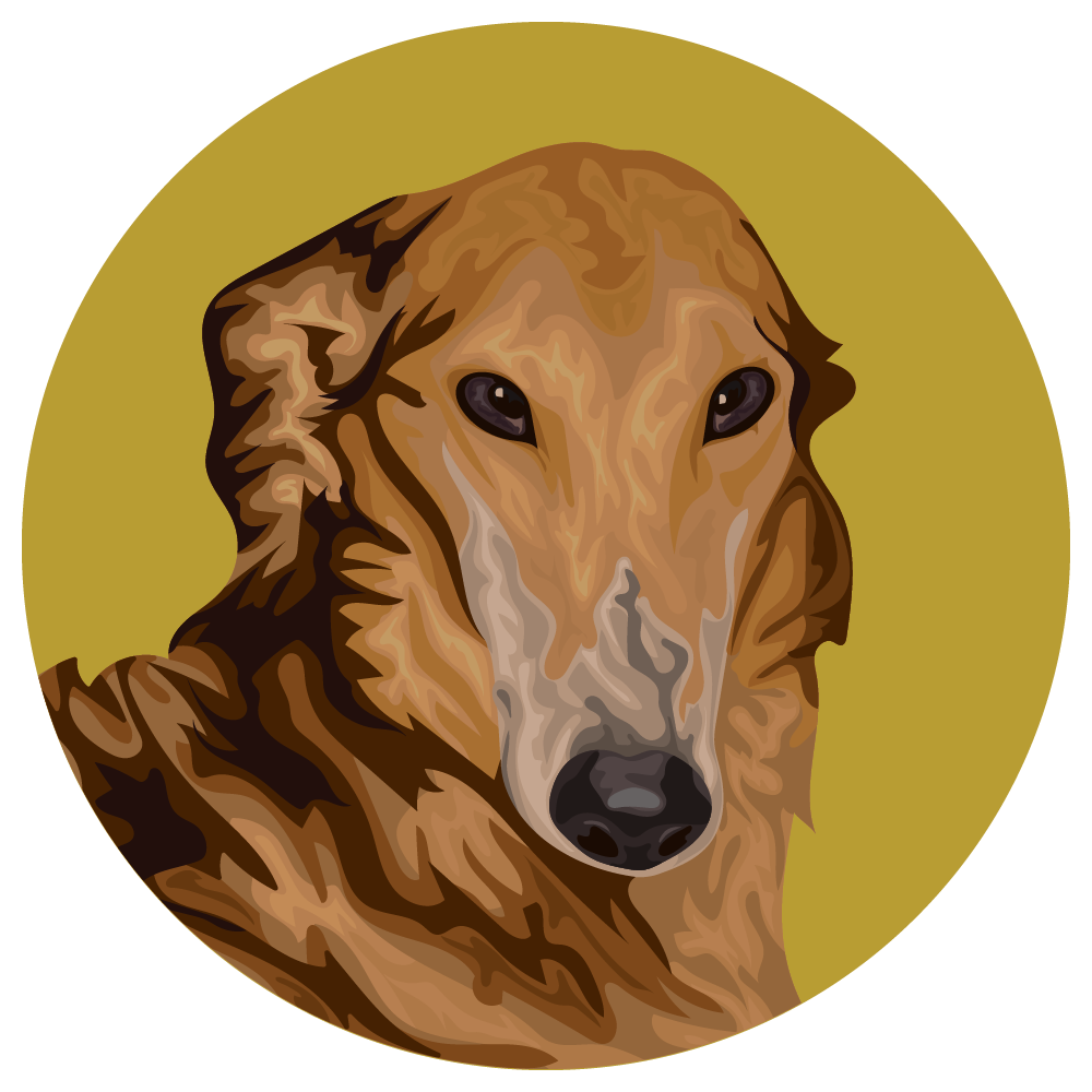 Borzoi