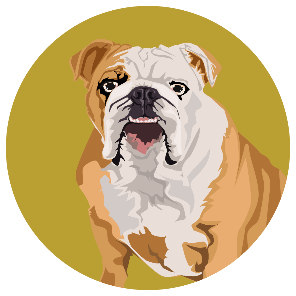 Bulldog