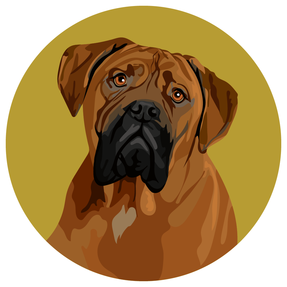 Bullmastiff