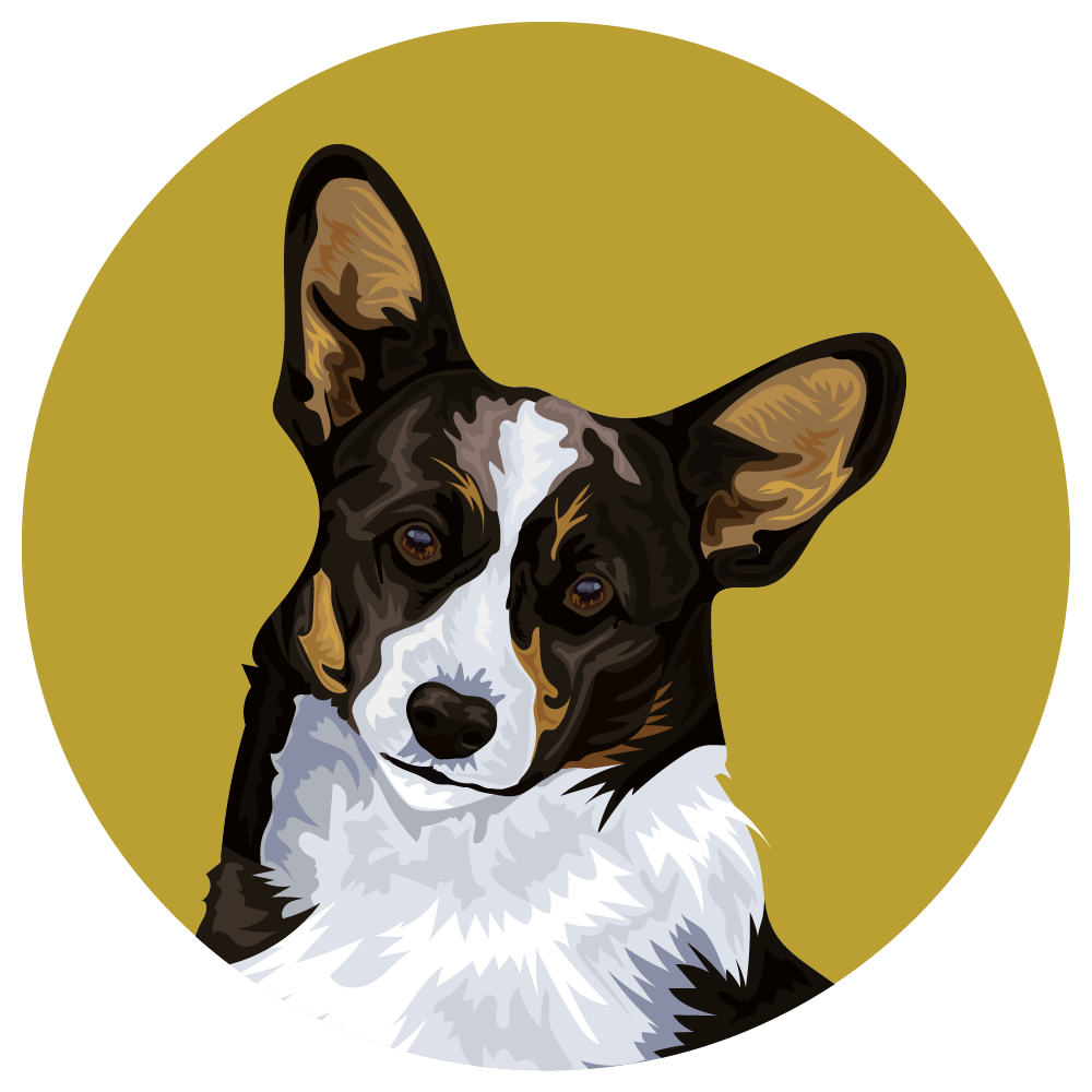 Cardigan Welsh Corgi
