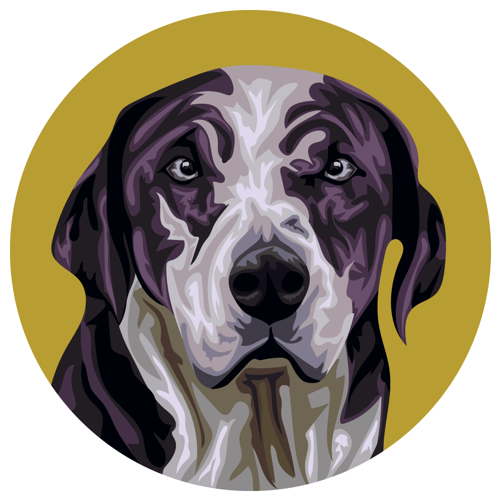 Catahoula Leopard Dog