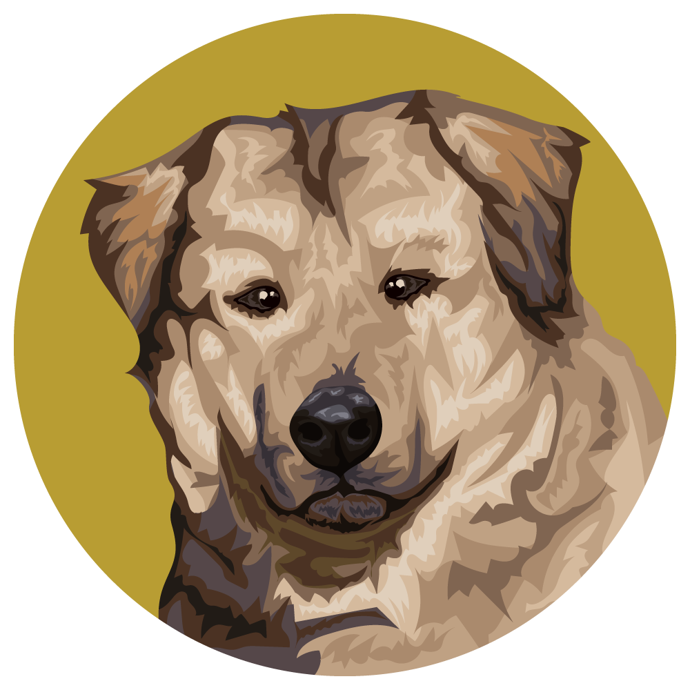Caucasian Shepherd Dog