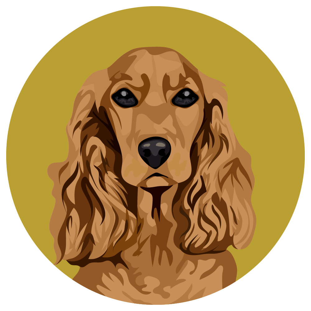 Cocker Spaniel