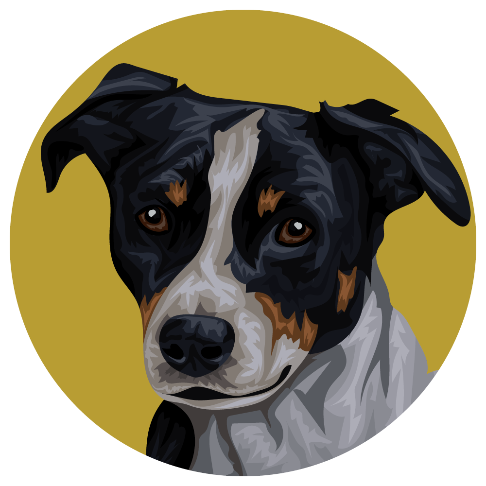 Danish-Swedish Farmdog