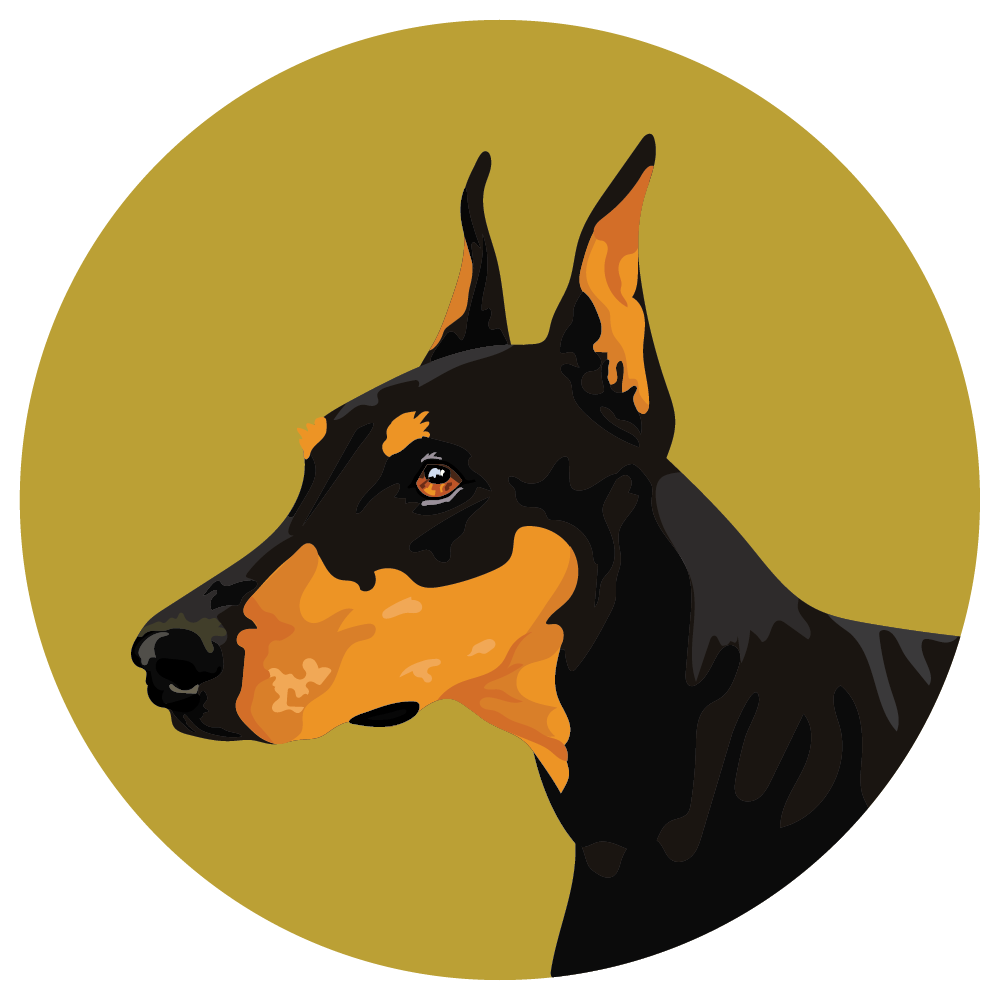 Doberman Pinscher