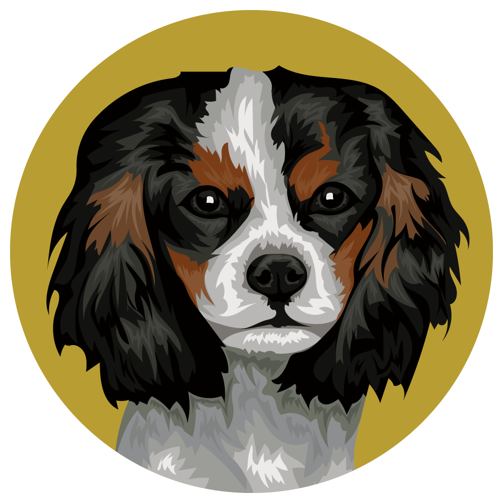 English Toy Spaniel