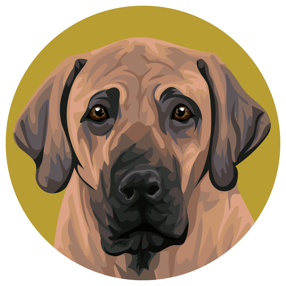 Fila Brasileiro