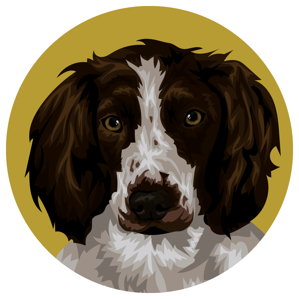 French Spaniel