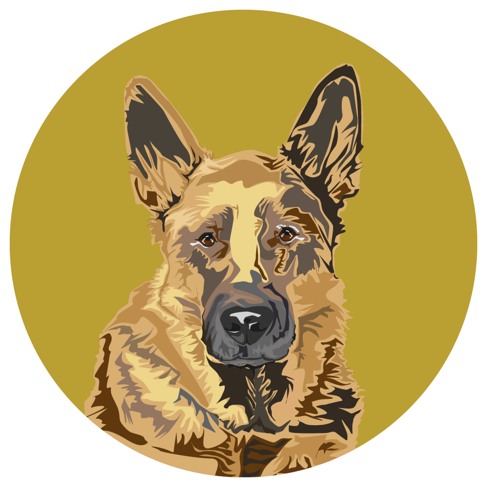 German Shepherd Dog