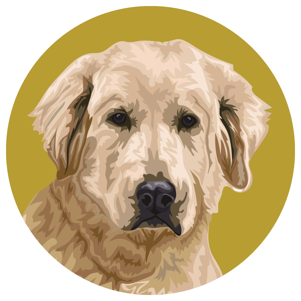 Goldador