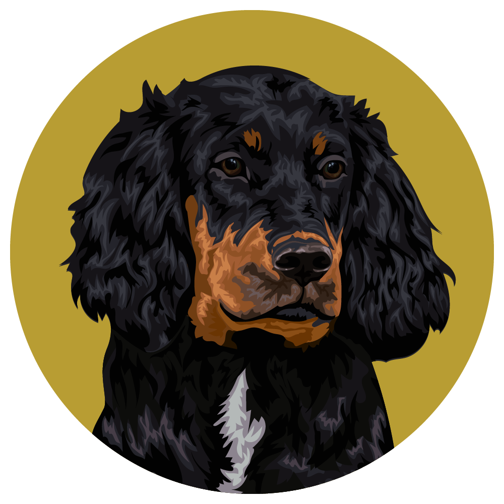 Gordon Setter