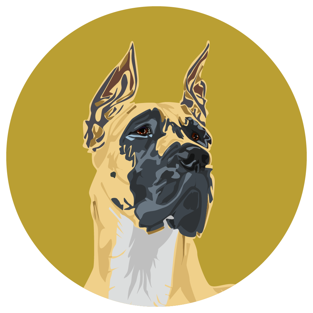 Great Dane
