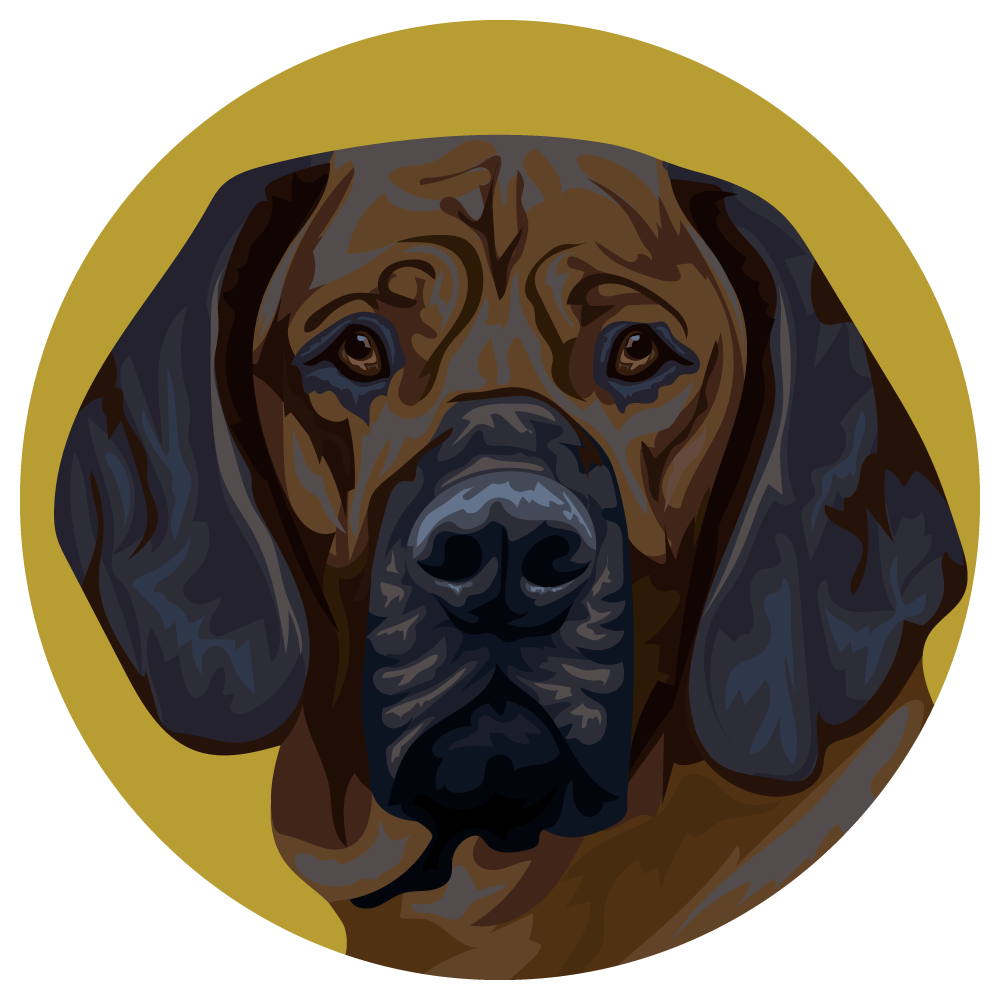 Hanoverian Scenthound