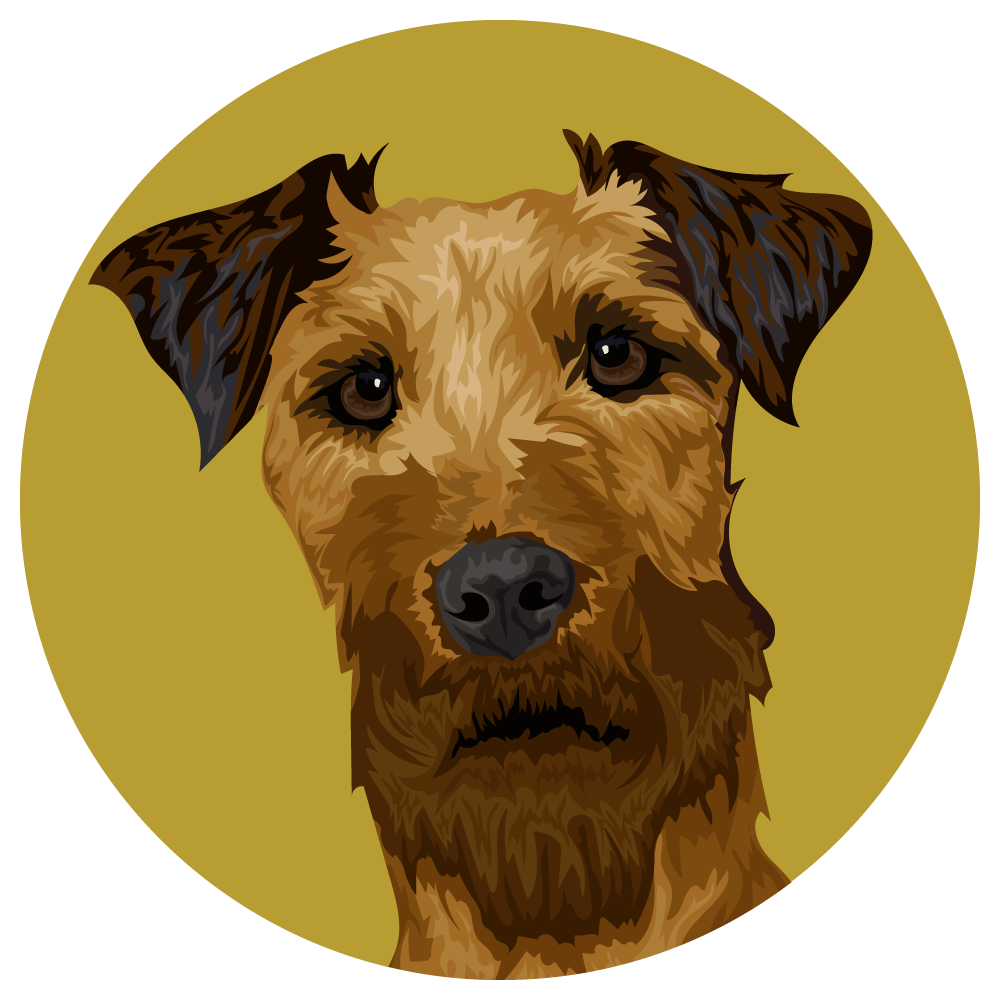 Irish Terrier