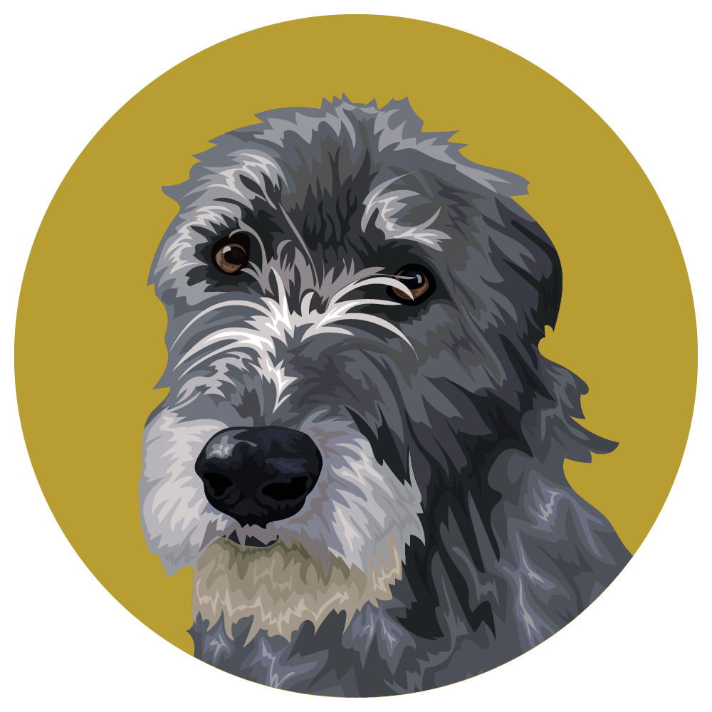 Irish Wolfhound