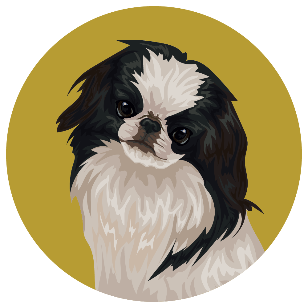 can a japanese chin and a pekingese be friends