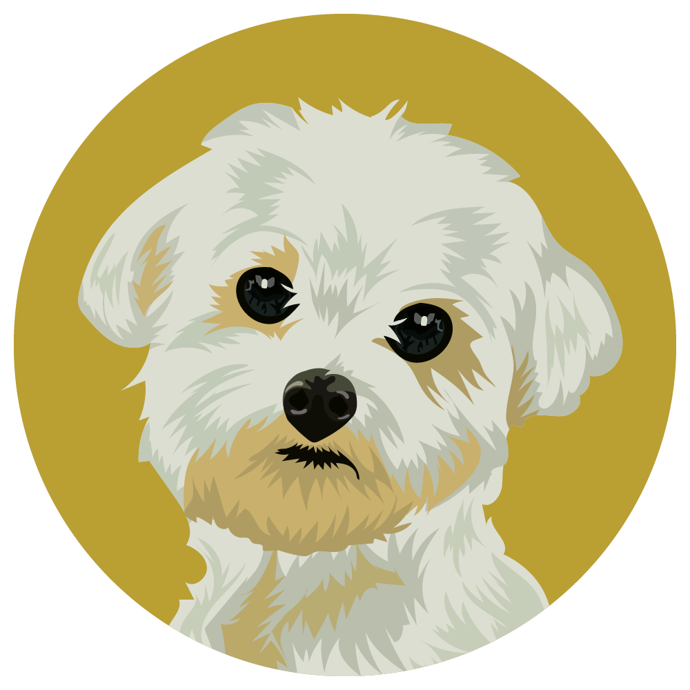 Maltese