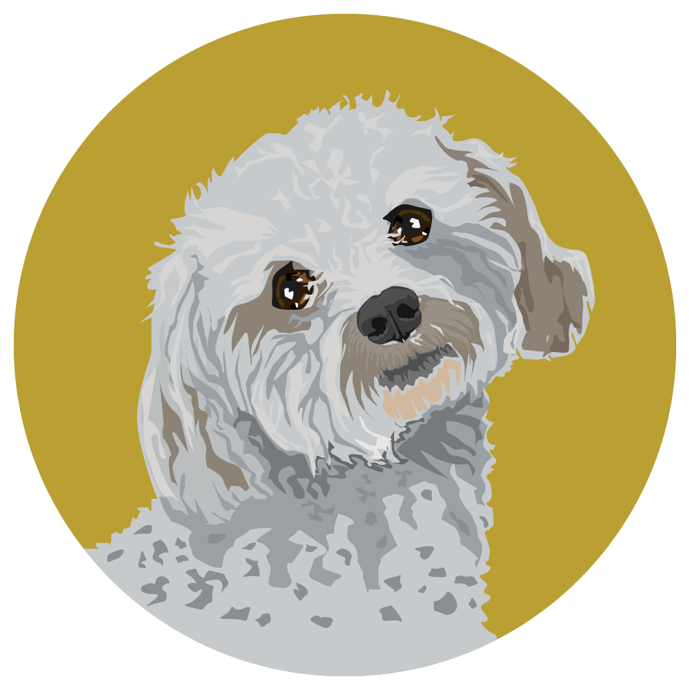 Maltipoo