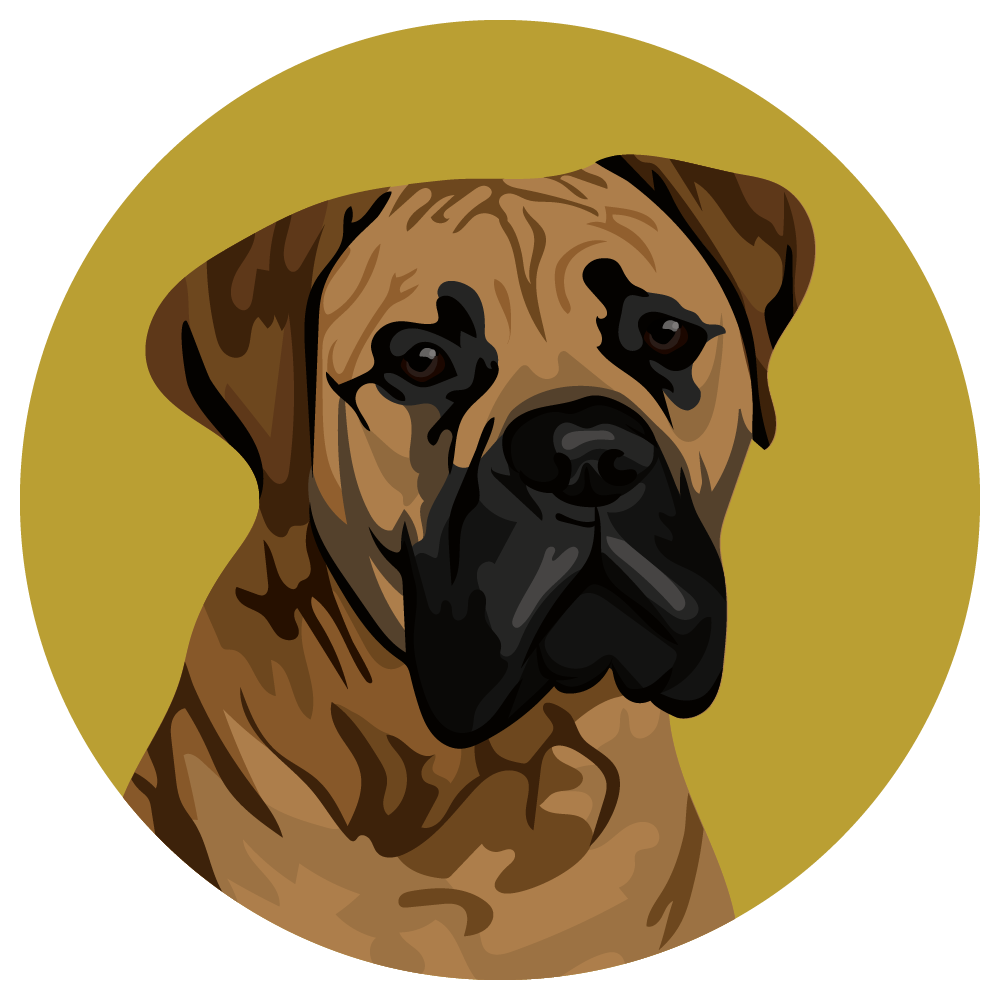 Mastiff