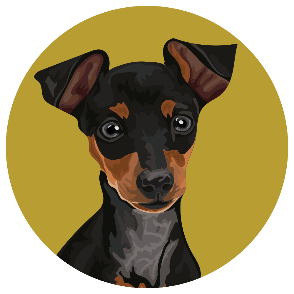 Miniature Pinscher