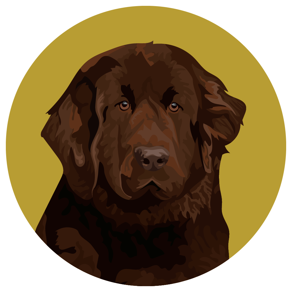 Newfoundland