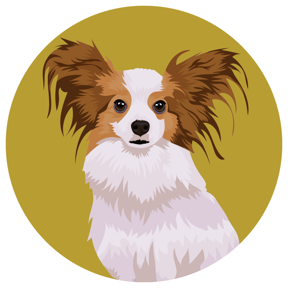 Papillon