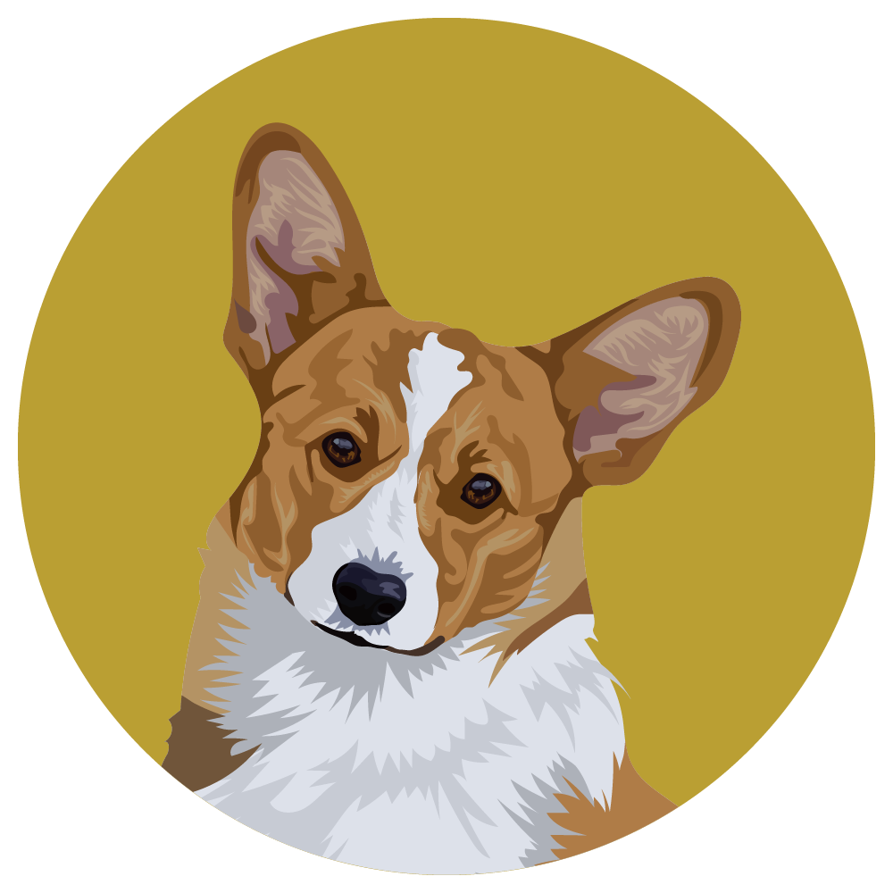 Pembroke Welsh Corgi