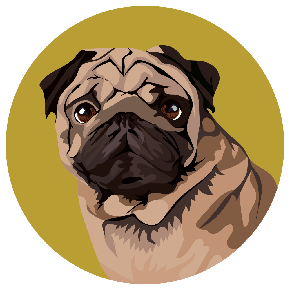 Pug