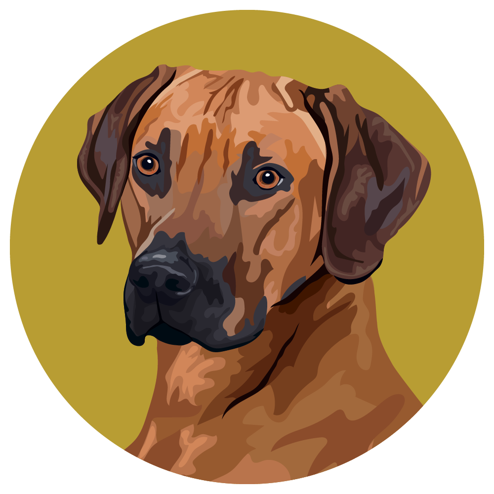 Rhodesian Ridgeback