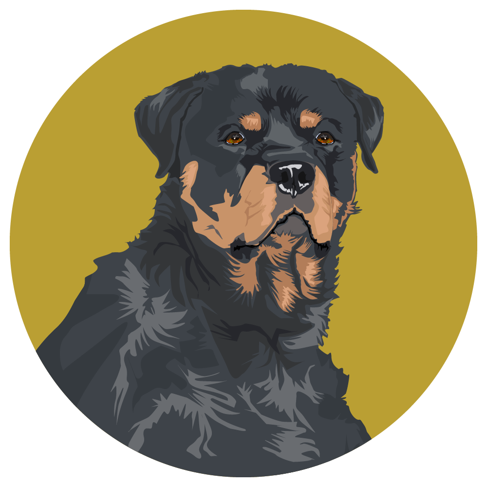 Rottweiler