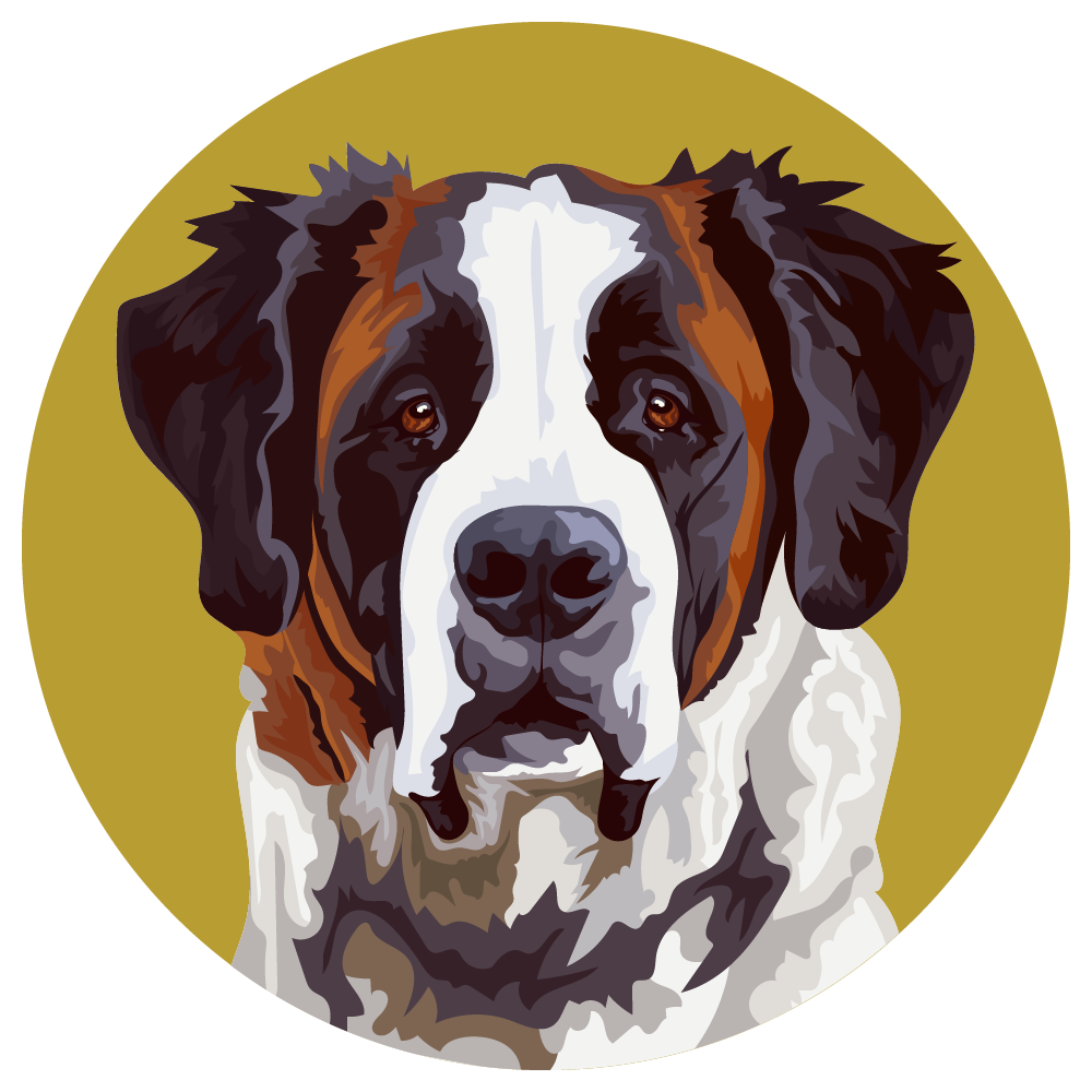 Saint Bernard
