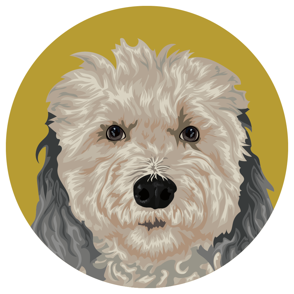Sheepadoodle